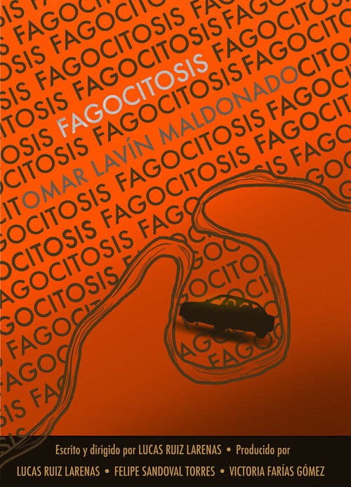 Fagocitosis