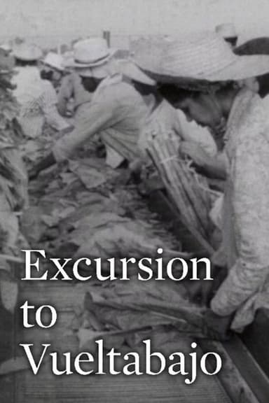 Excursion to Vueltabajo