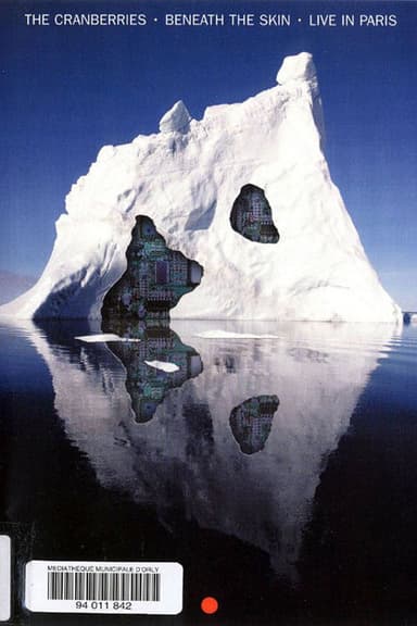 The Cranberries - Beneath the Skin - Live in Paris