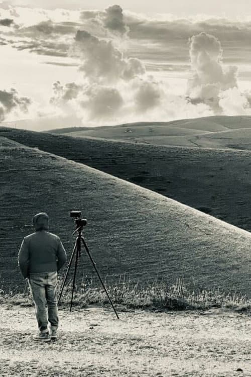 The Road To Podestaria