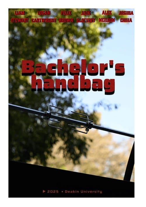 Bachelors Handbag