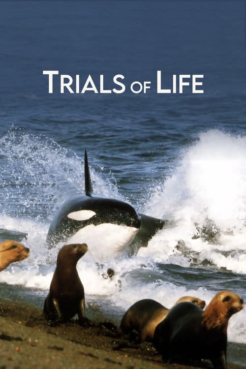 Trials of Life