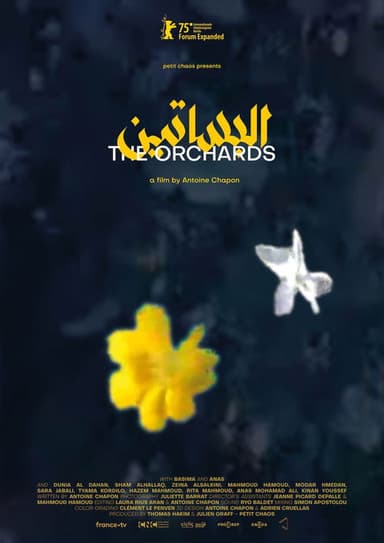 The Orchards