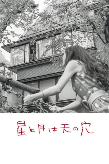 The Stars and the Moon are Holes in the Sky