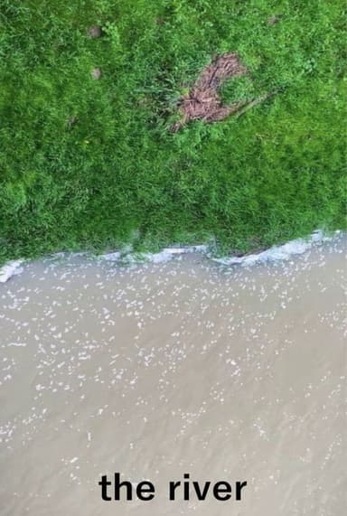 The River