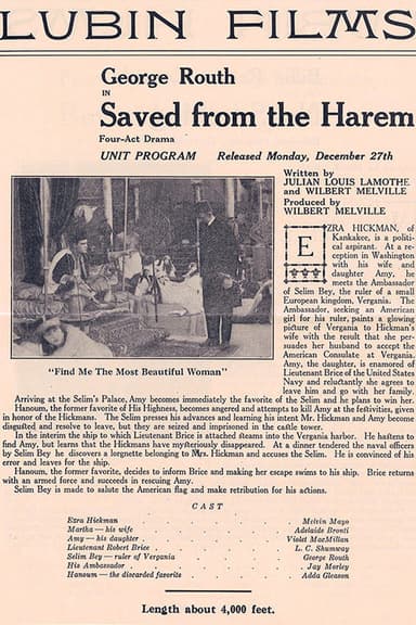 Saved from the Harem