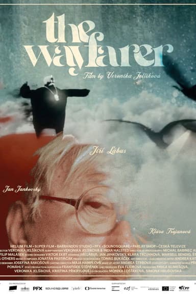 The Wayfarer