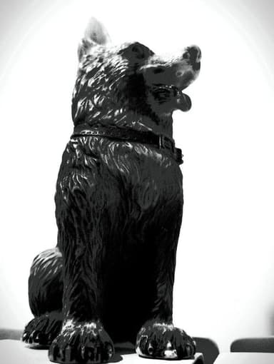 The Dog of Sarandi Alley