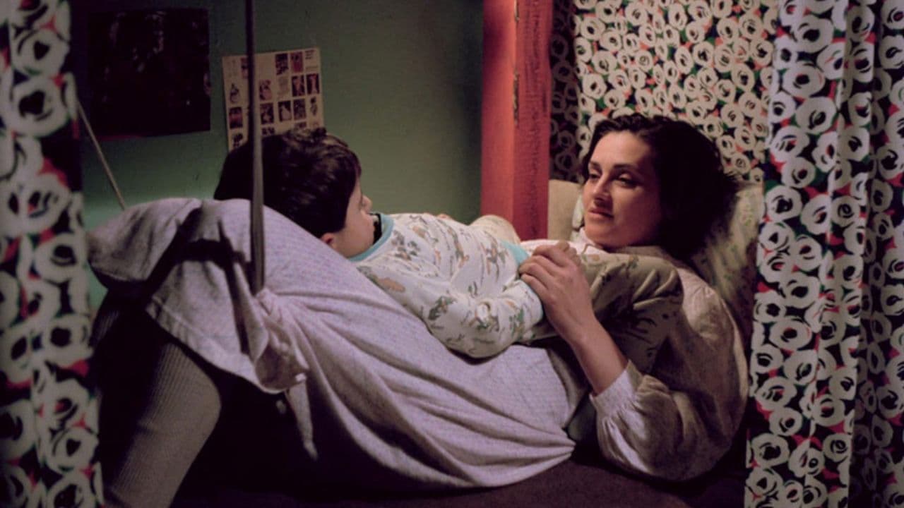 Don't Let Them Shoot the Kite