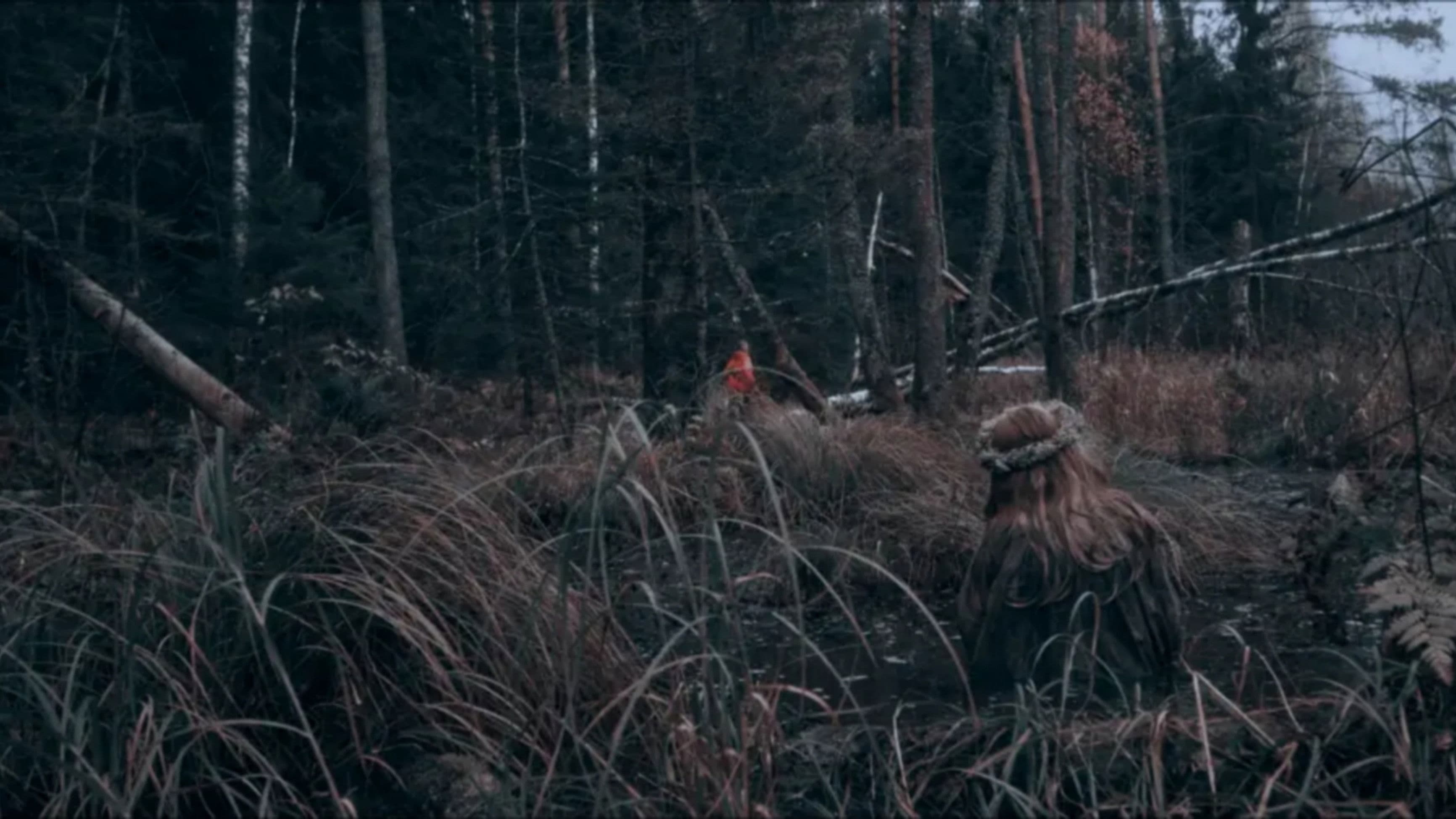 Izvod: Witch's Swamp