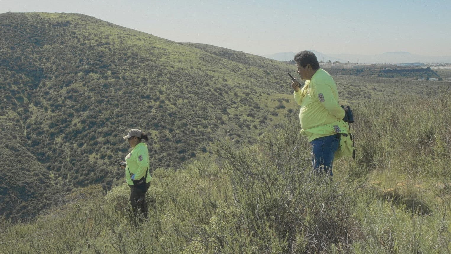 Spare My Bones, Coyote!