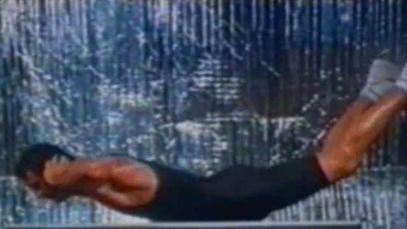 Born to Be a Warrior