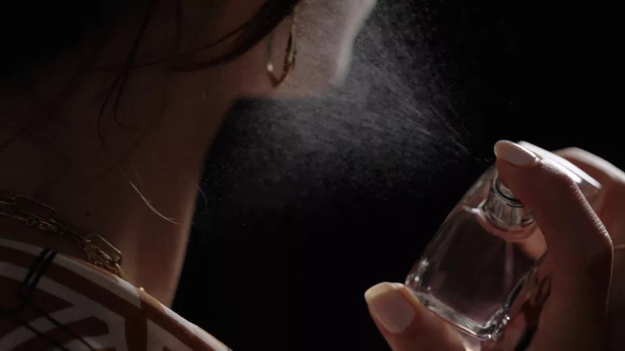 Dictionnaire amoureux du parfum