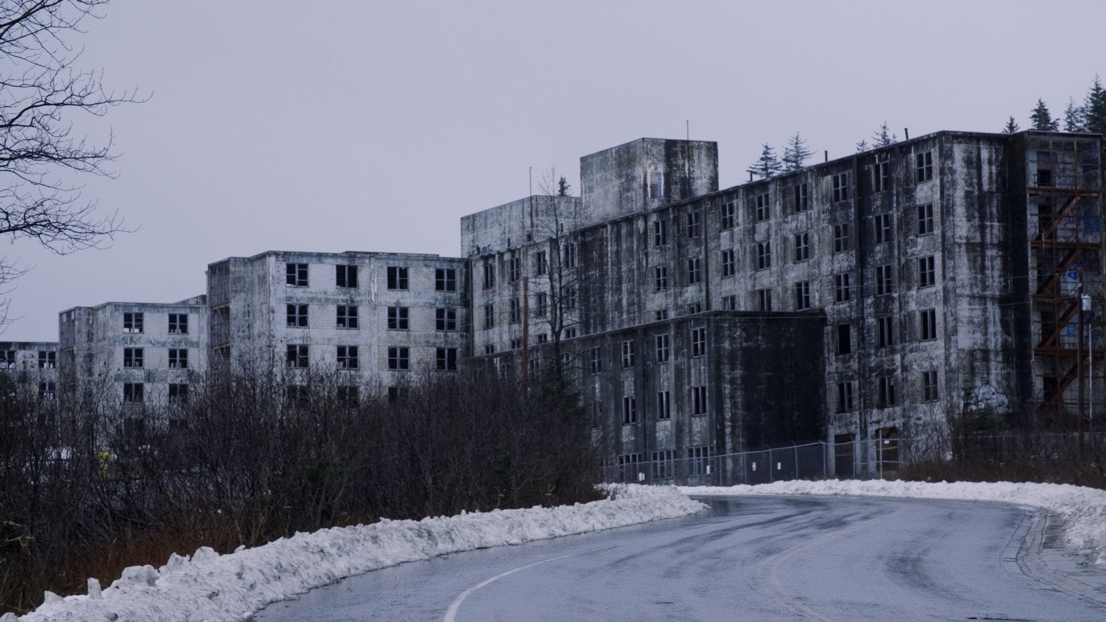 Prettier in Whittier