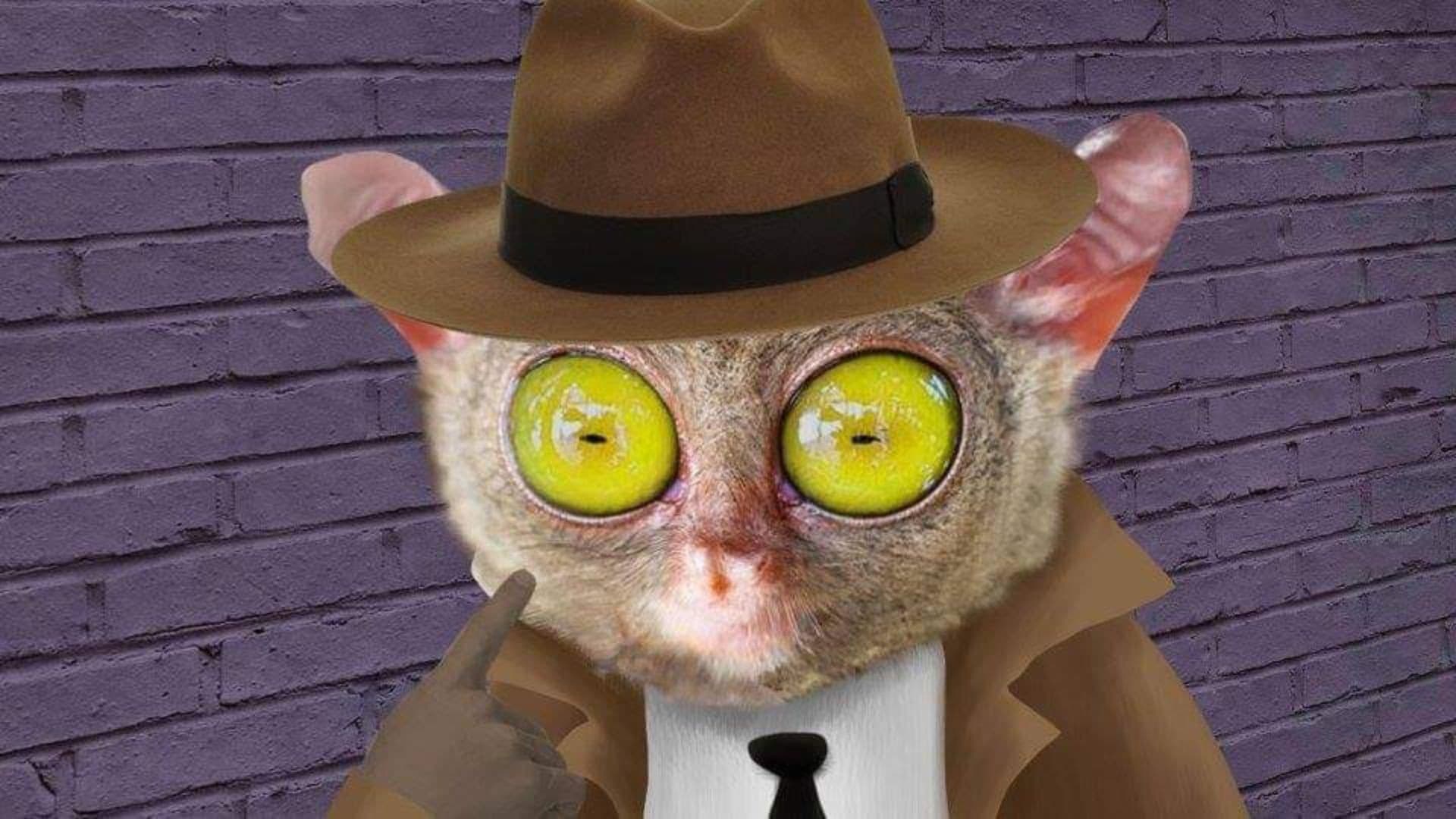 Lorenzo Delgado, Private Investigator