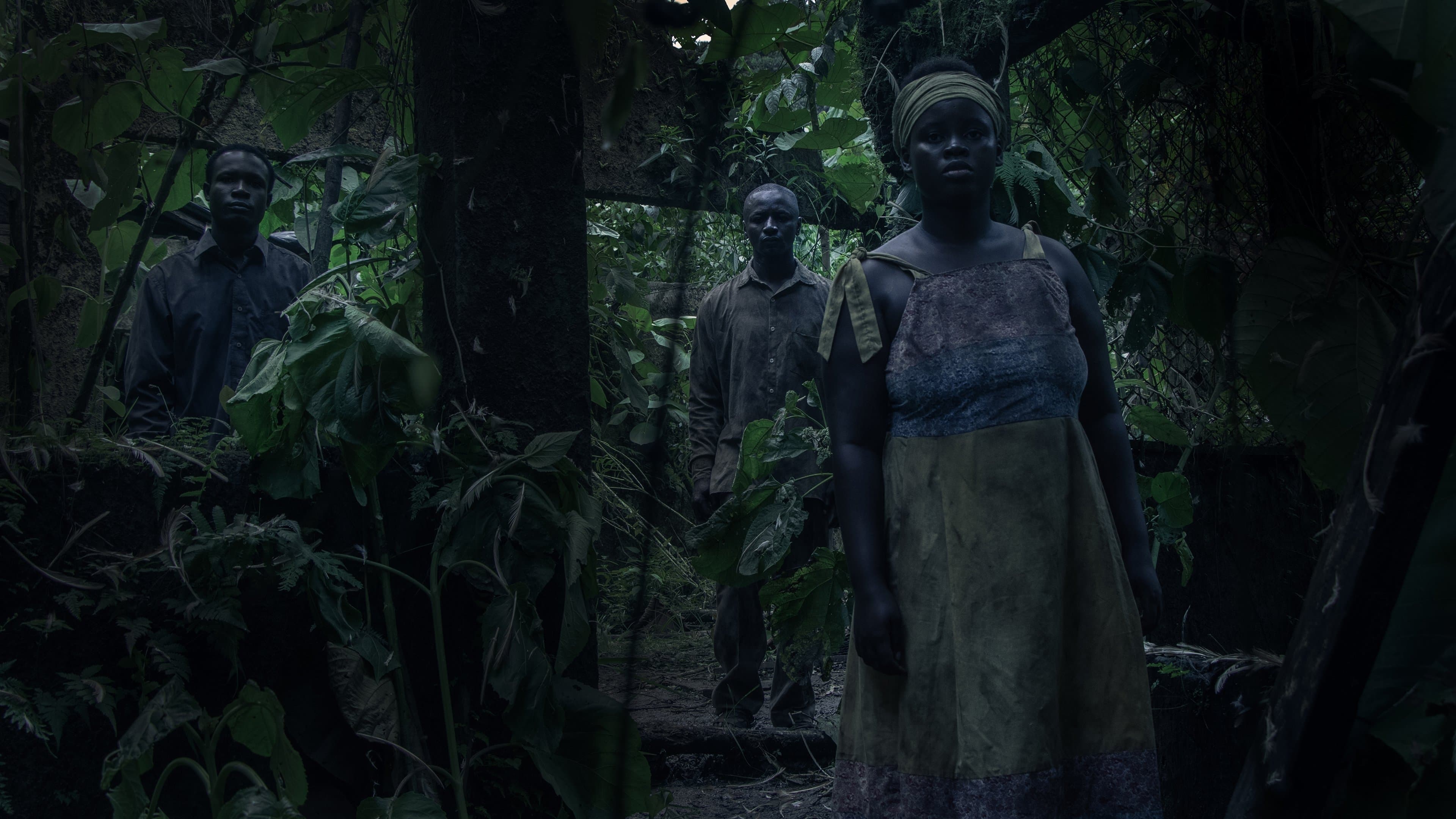 I Saw Three Black Lights