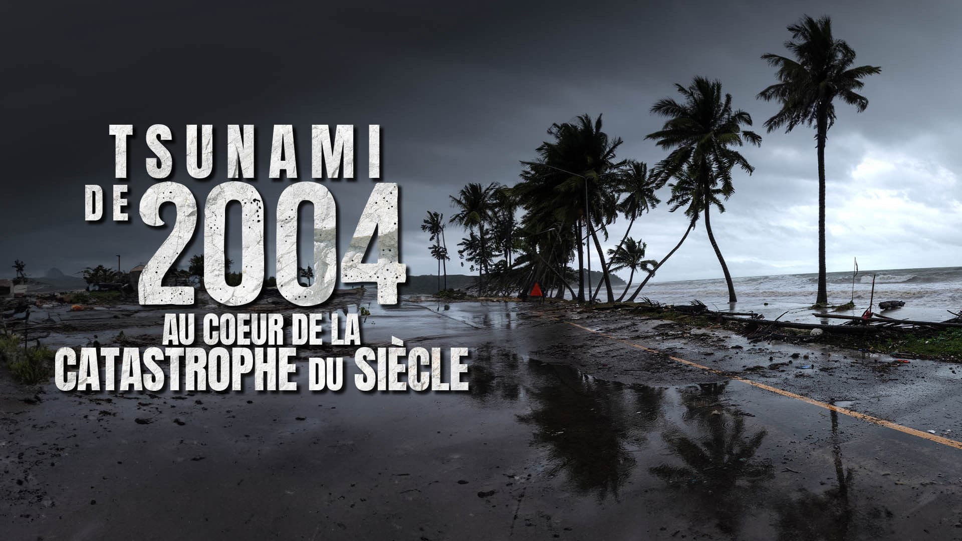 Tsunami 2004 : ils ont filmé la catastrophe du siècle