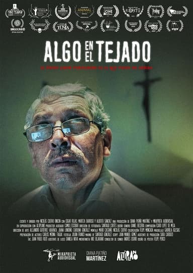 Something on the roof