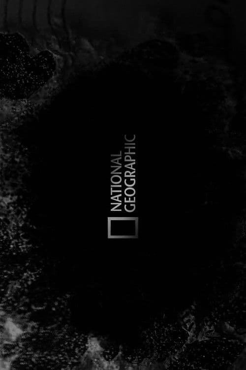 National Geographic: Lion Warriors