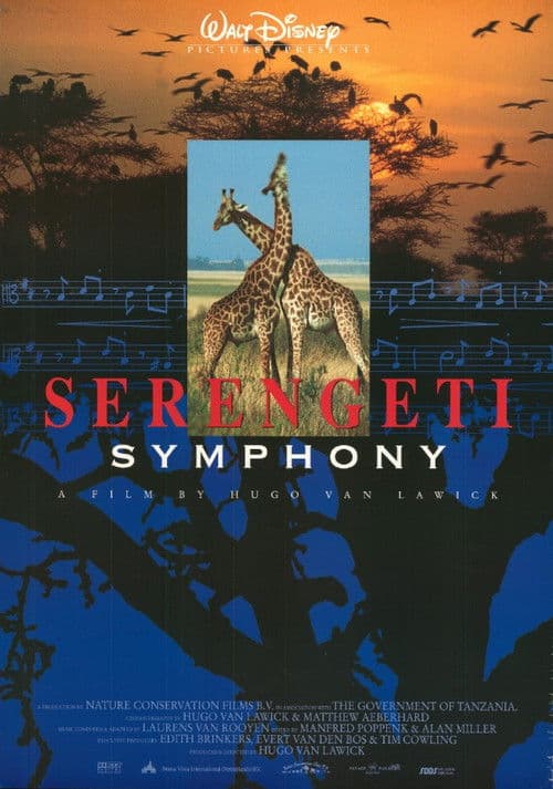 Serengeti Symphony